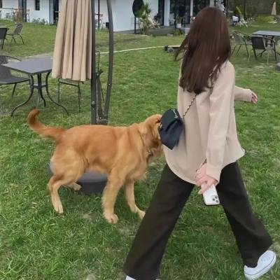 气体人第一号
